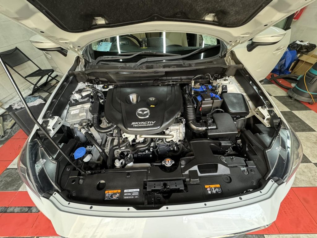 Image_Shine_Professional_Auto-Detailing