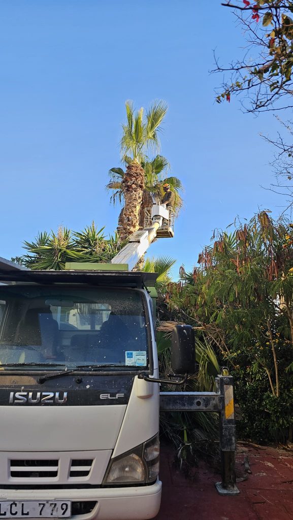 Antoine’s Gardening