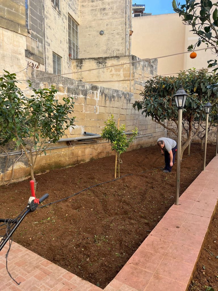 Antoine’s Gardening