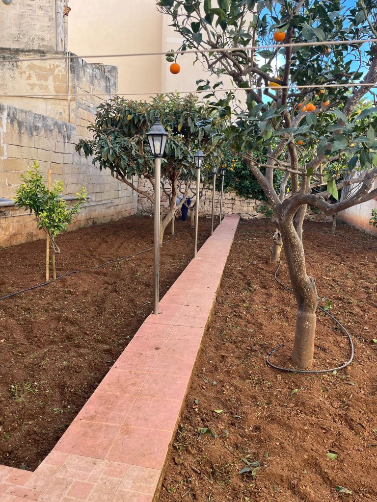 Antoine’s Gardening