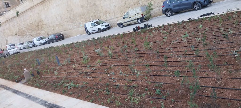 Antoine’s Gardening