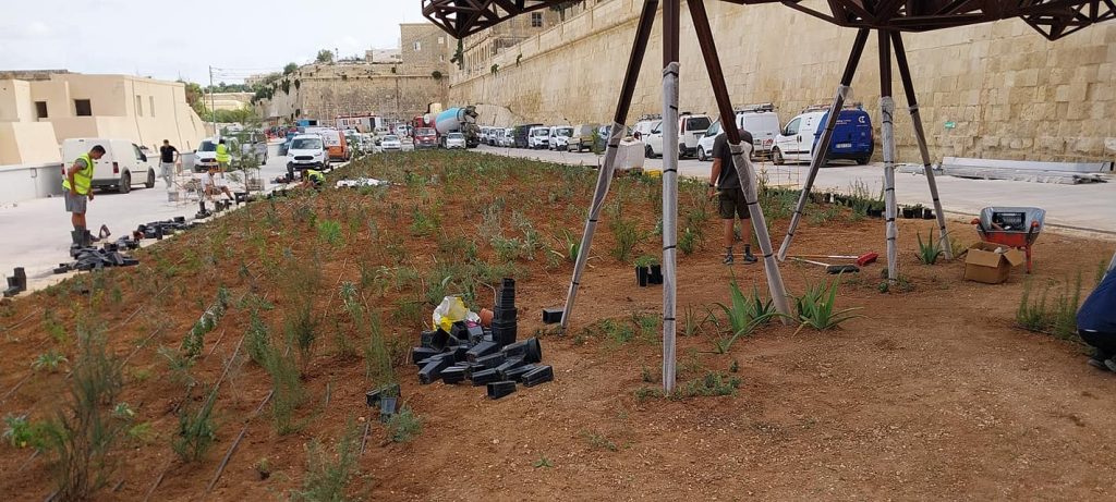 Antoine’s Gardening