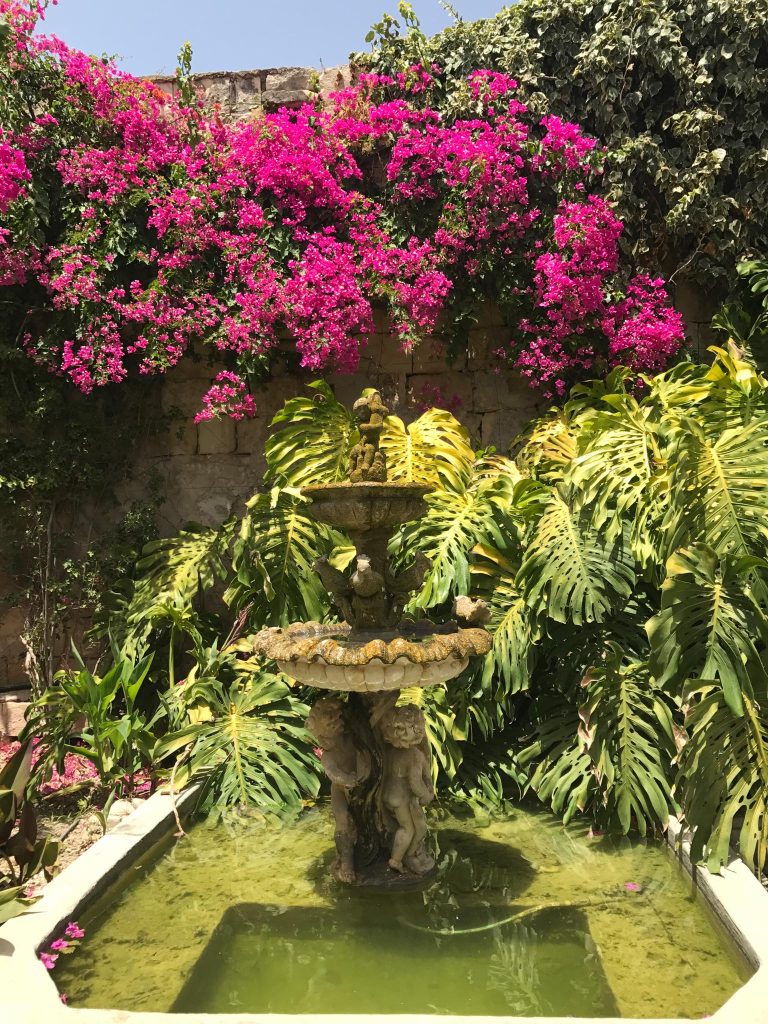 Bugeja Gardening & Landscaping