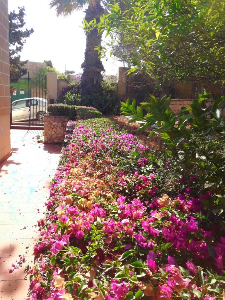 Bugeja Gardening & Landscaping