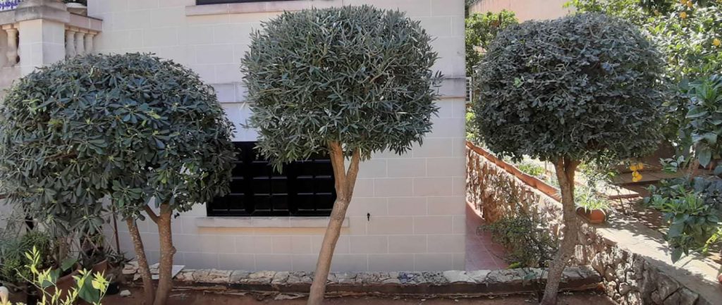 Bugeja Gardening & Landscaping