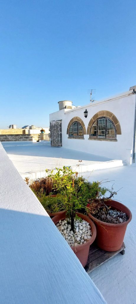 Domnic Sciberras Roof Repair