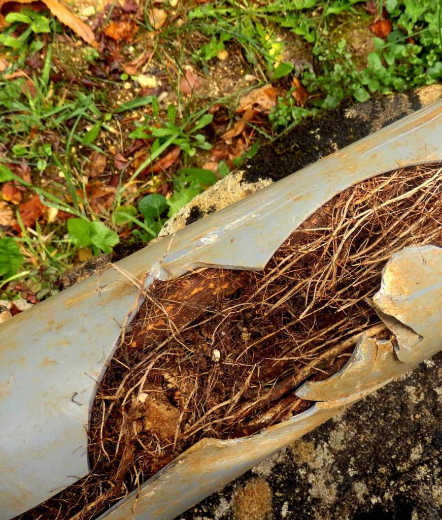 Environmental Recycling Services