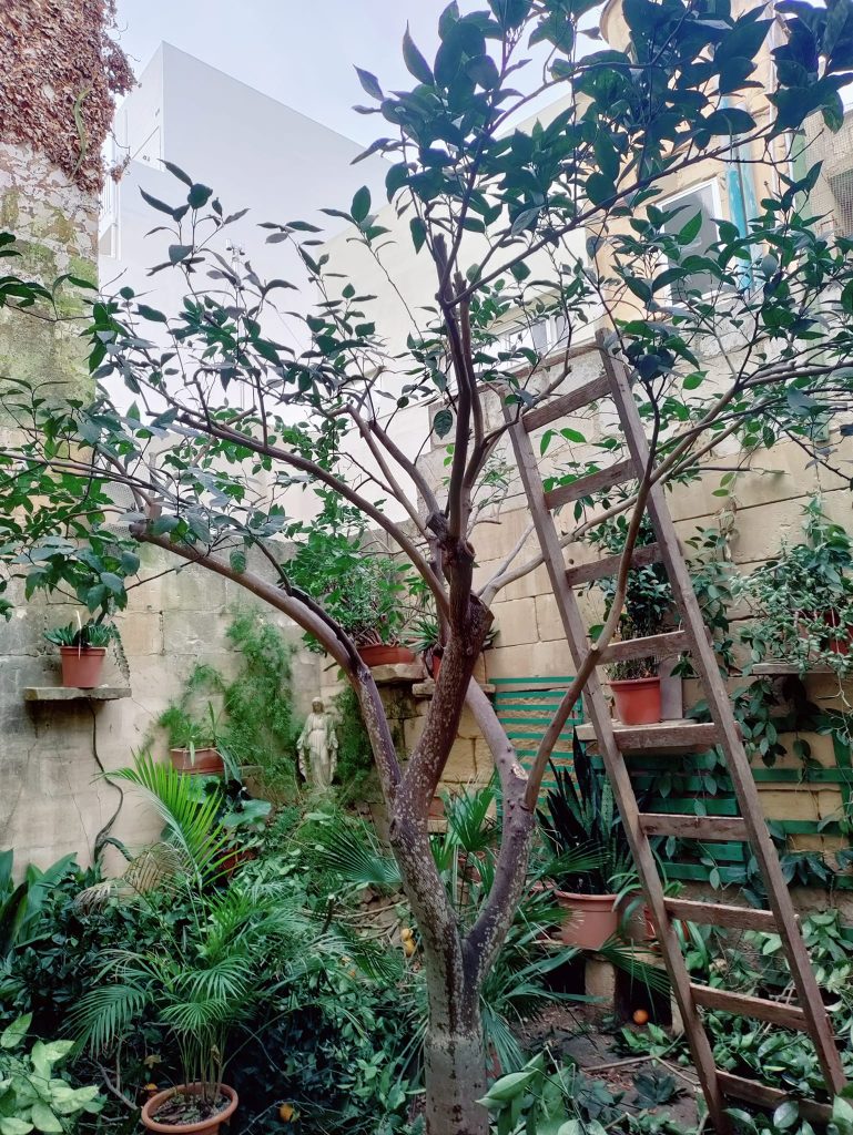 JA_Gardening_&_Landscaping