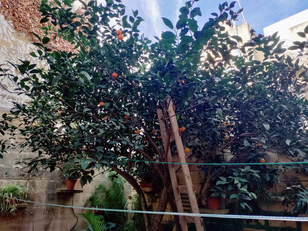 JA_Gardening_&_Landscaping