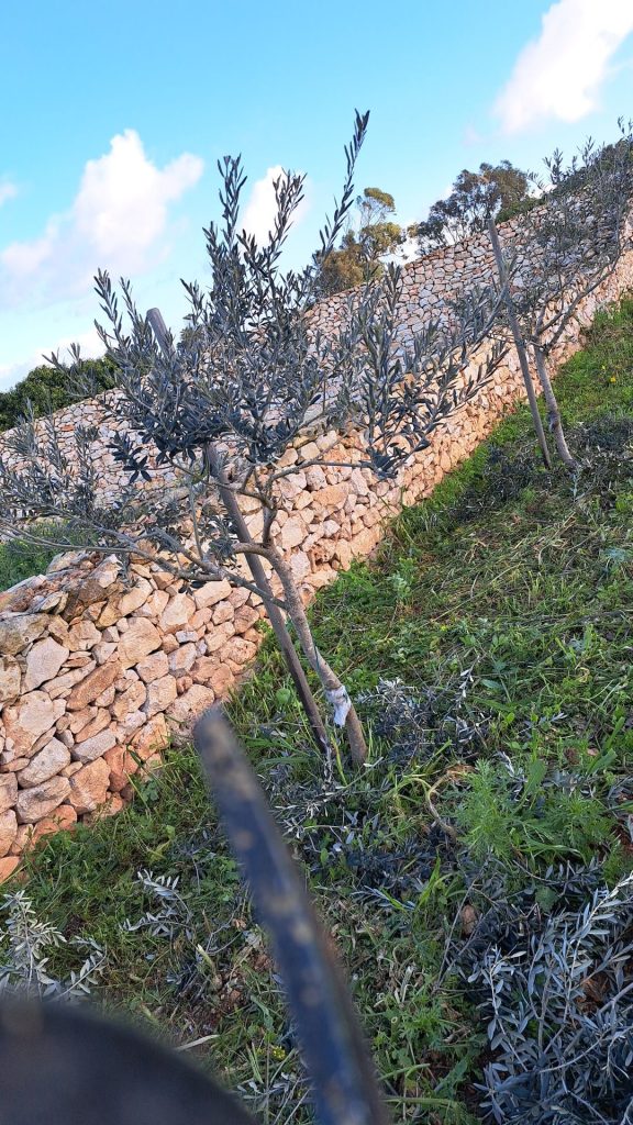 JA_Gardening_&_Landscaping