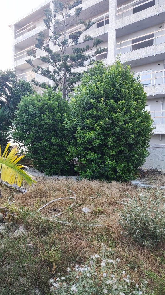 JA_Gardening_&_Landscaping