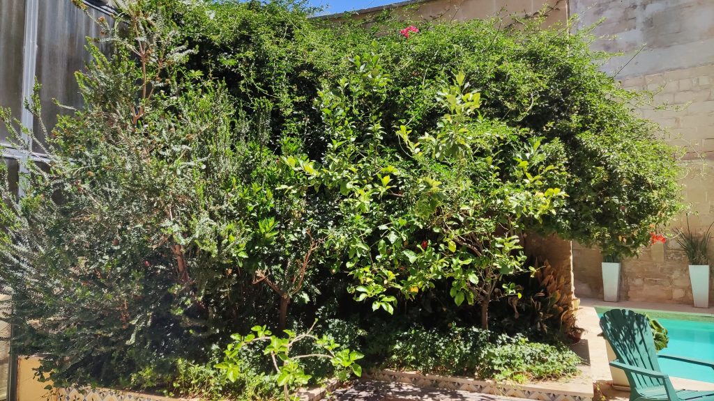 JA_Gardening_&_Landscaping