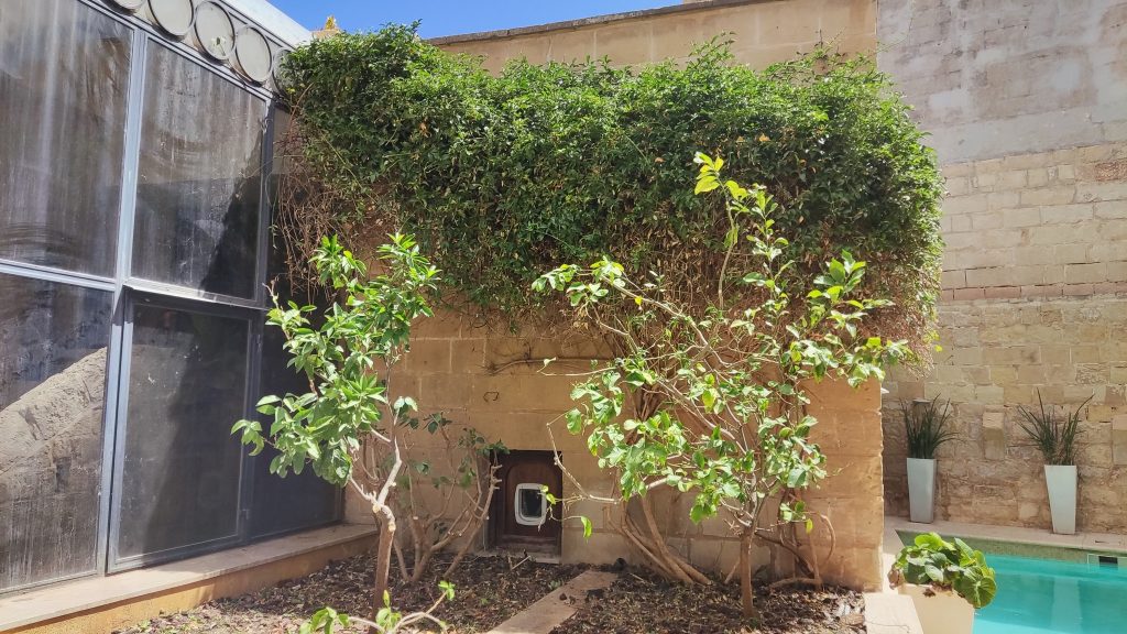 JA_Gardening_&_Landscaping