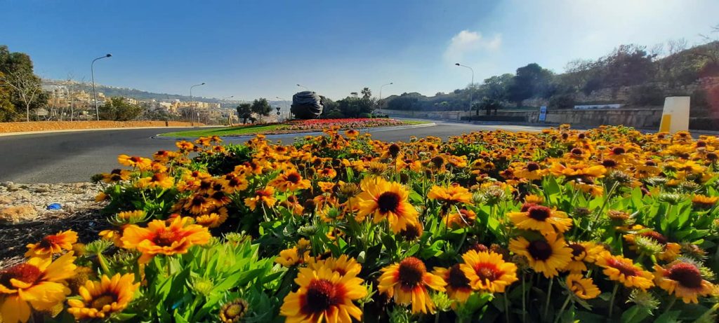 "Environmental Landscapes Consortium Ltd."