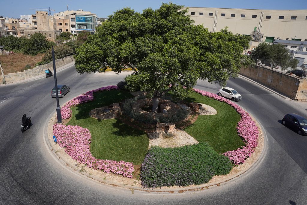 "Environmental Landscapes Consortium Ltd.
"