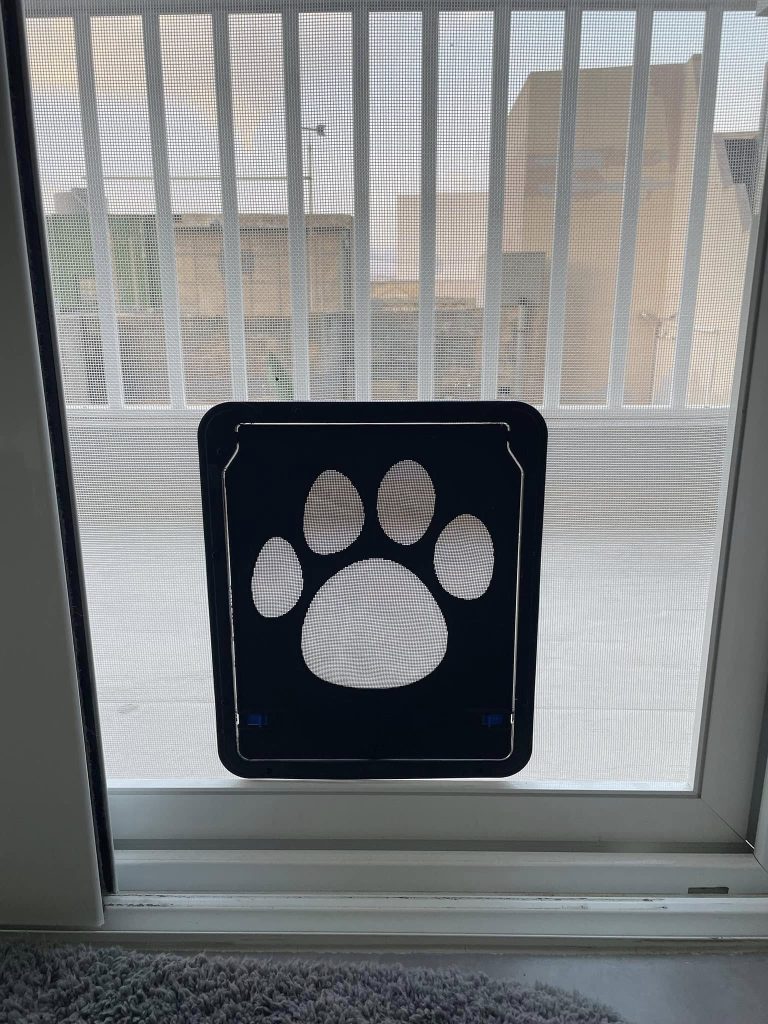 484787222_1036136261869121_6556652344636931208_n