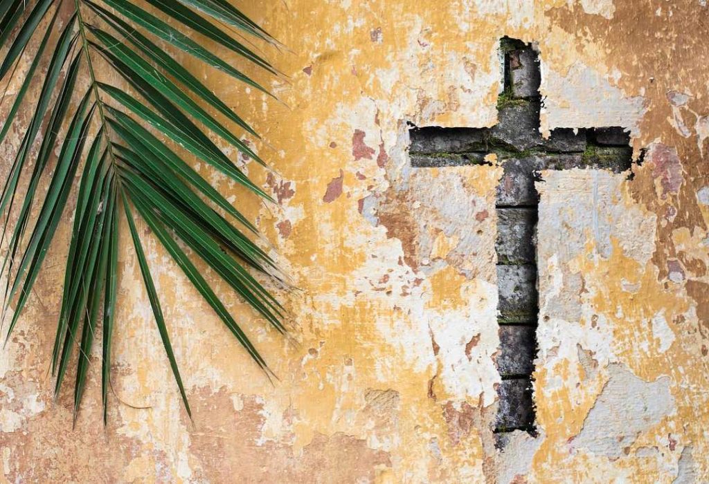 57161010_2254466801469963_4396998813961682944_n