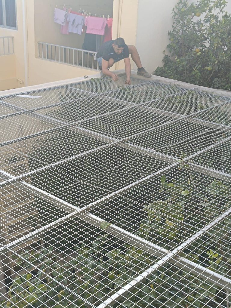 Abdul_Finishings (2)