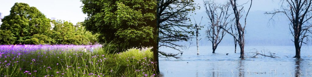 CD Power Solutions Co Ltd