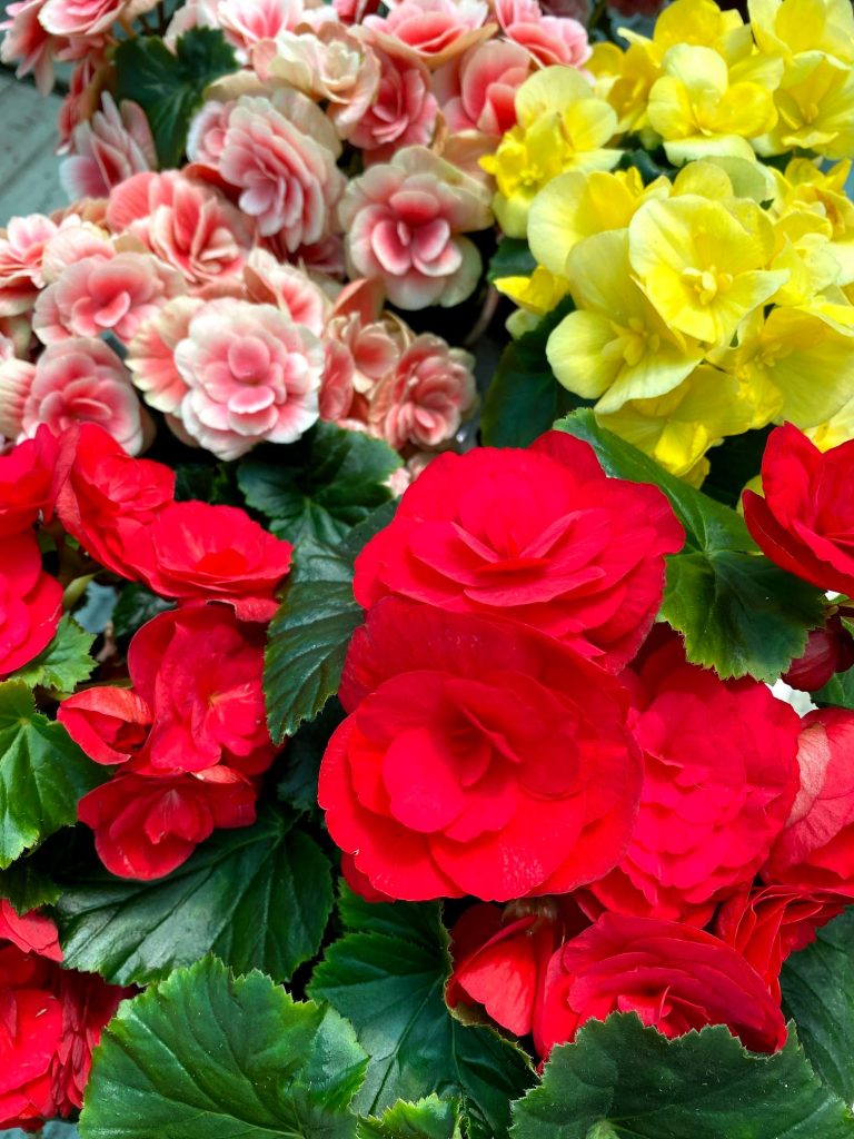 Medisun_Landscapes_Ltd