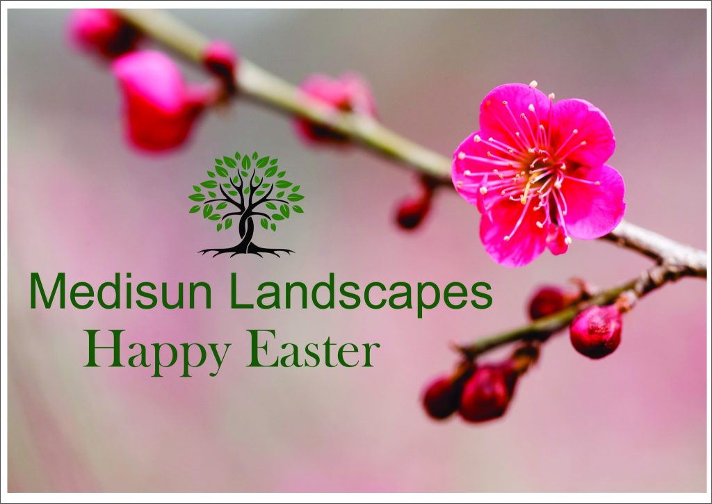 Medisun_Landscapes_Ltd